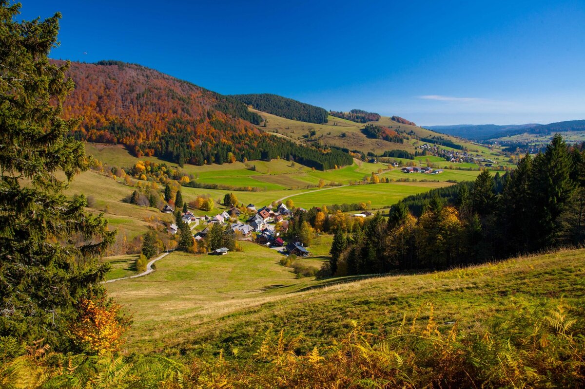 Foto: Schwarzwald Tourismus